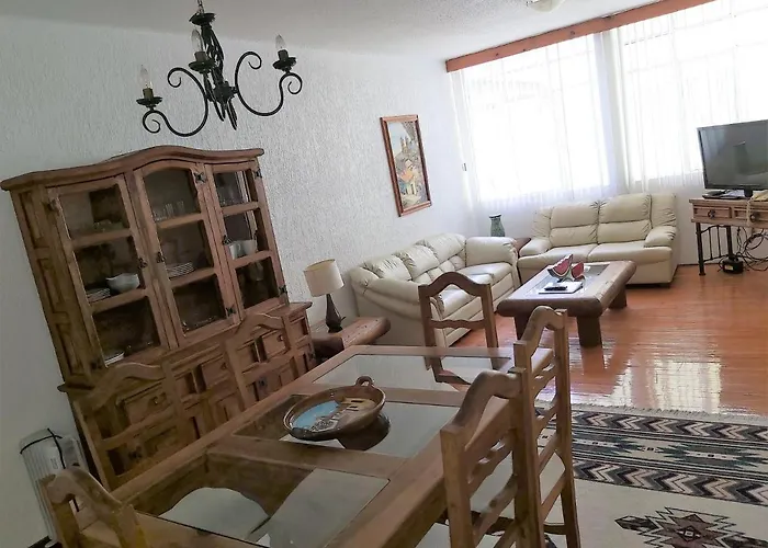 Steinhaus Emilio Castelar Apartment Mexico City