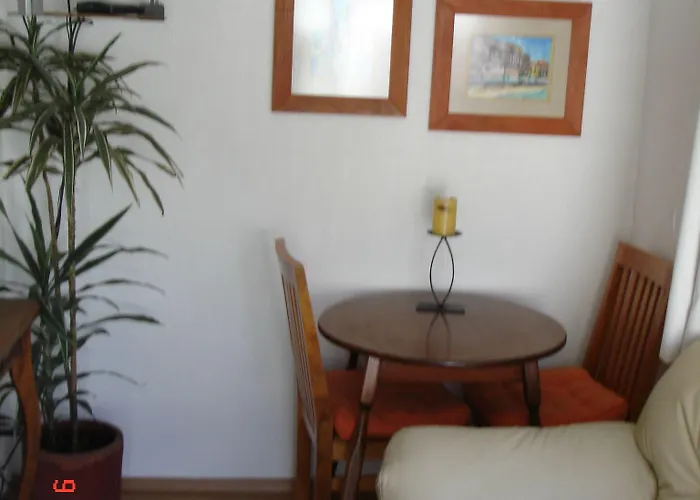 Steinhaus Emilio Castelar Apartment Mexico City