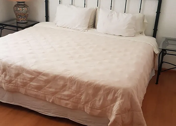 Apartment Steinhaus Emilio Castelar Mexico City