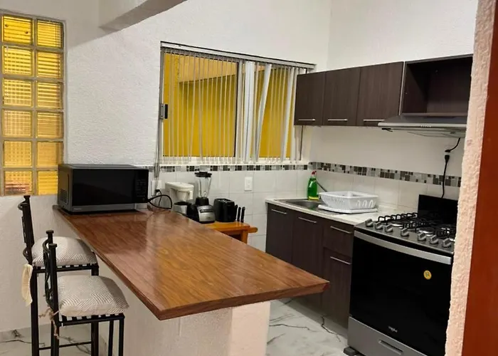 Apartment Steinhaus Emilio Castelar Mexico City